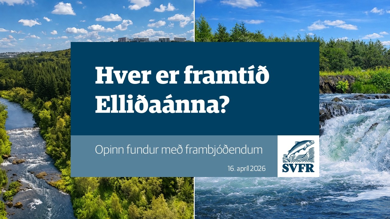 Hver er framtíð Elliðaánna?
