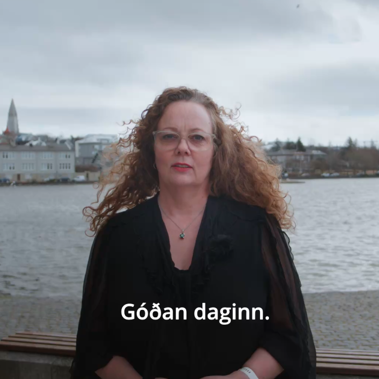 Hjördís Fjármál