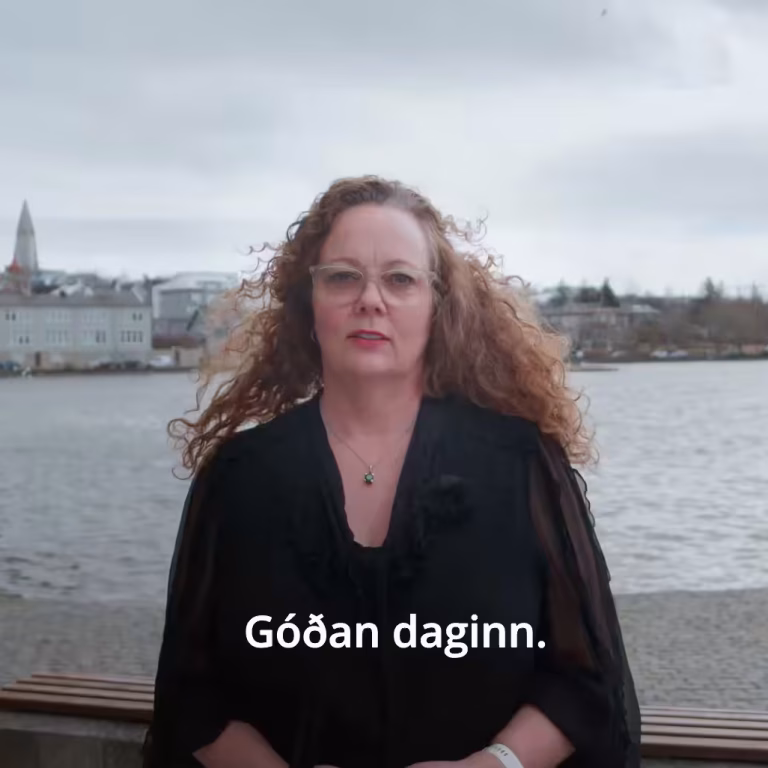 Hjördís Fjármál
